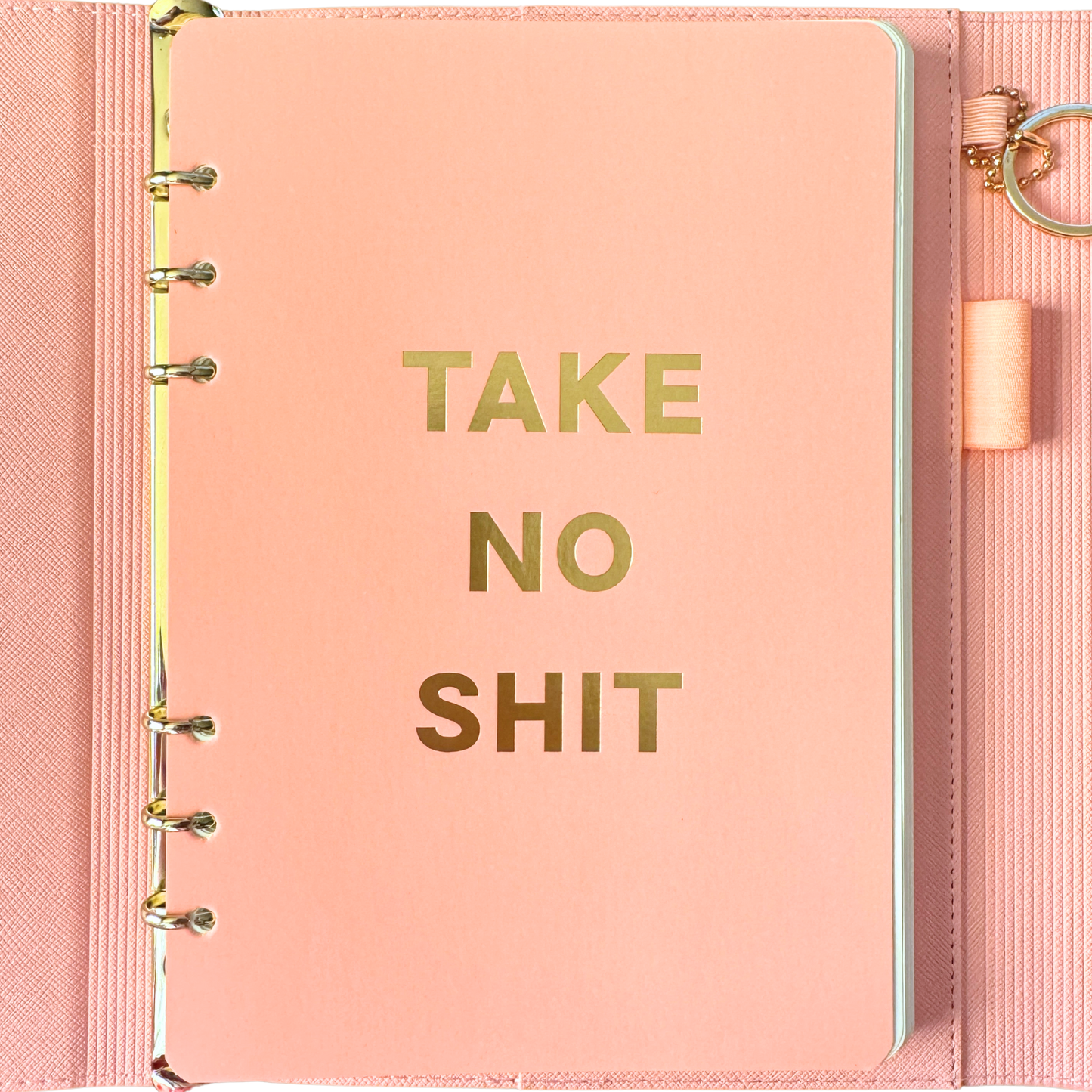 Take No Shit Vegan Leather Journal Planner (gifts, journals)