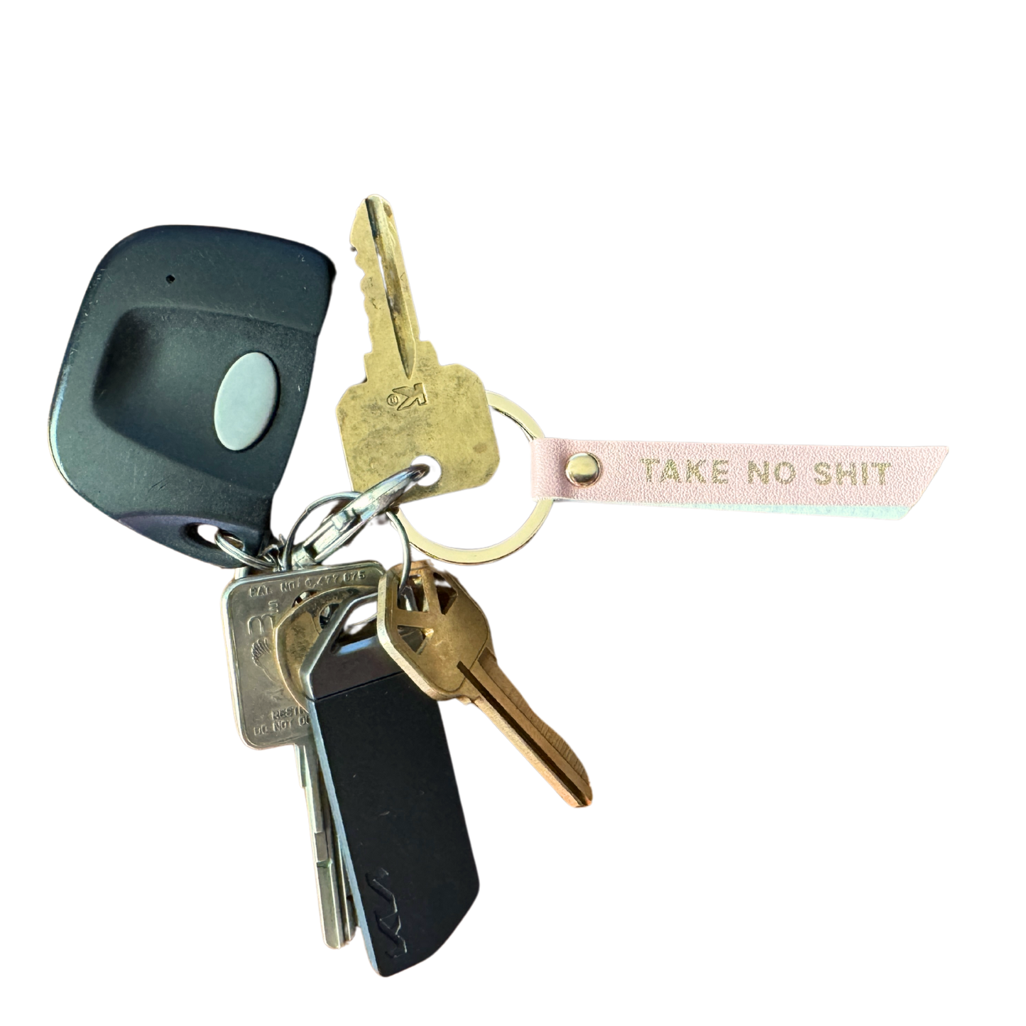 Take No Shit Vegan Leather Journal Planner (gifts, journals)